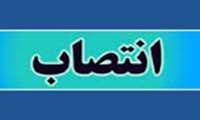 سرپرست گروه مهندسی بافت و مدیر گروه بیوتکنولوژی دانشکده فن آوری های نوین پزشکی منصوب شدند